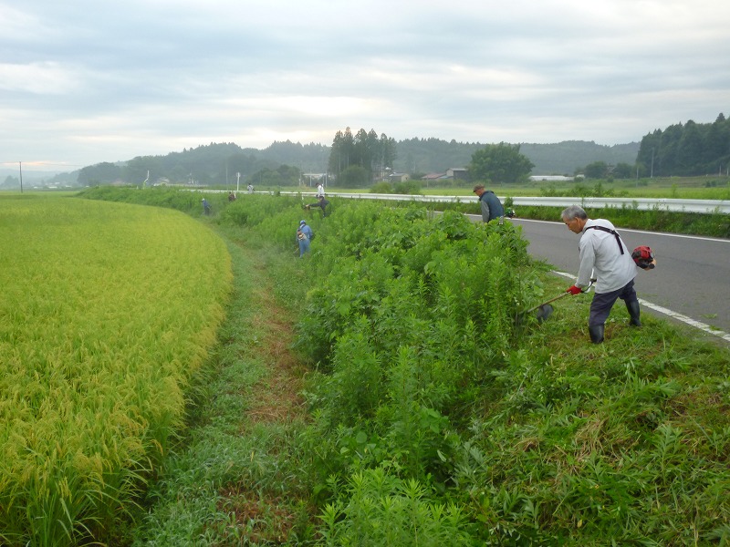 9.1 今年３度目の草刈。