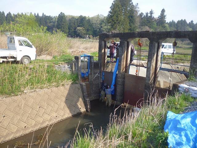 5.3水田への揚水のため「板倉堰」堰上