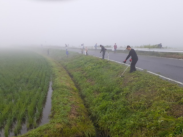 7.5今年二回目の草刈り。