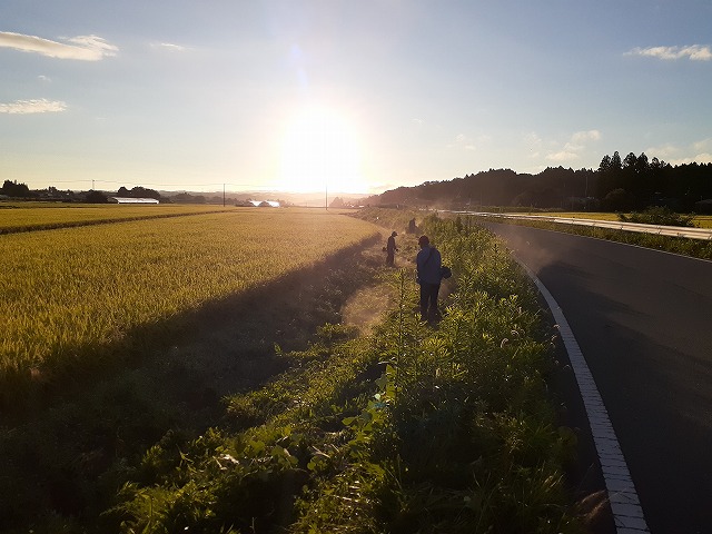 9.6第3回目草刈。