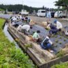 7.4雨が降ってまいりましたが・・、今日の作業には恵の雨。
