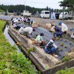 7.4雨が降ってまいりましたが・・、今日の作業には恵の雨。