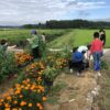 8.7ゴミ拾い、花壇の除草作業をしました。