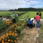 8.7ゴミ拾い、花壇の除草作業をしました。