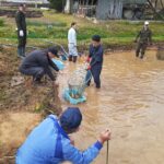 4.2今年はこんな作業も。