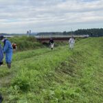 7.2第2回目草刈り作業