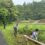 7.7第2回草刈作業