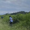 9.15第4回草刈り