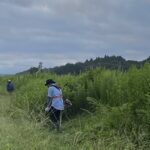 9.15第4回草刈り