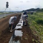 6.9花壇マルチ作業