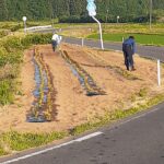 6.17花壇補水作業